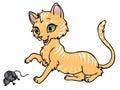 Cat and mouse Royalty Free Stock Photo