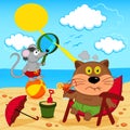 Cat and mouse fool around with on beach