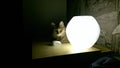 A cat and a mouse. Light and shadow. Royalty Free Stock Photo