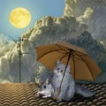 Cat and mouse under an umbrella.