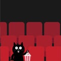 Cat in movie theater eating popcorn. Royalty Free Stock Photo