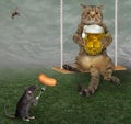 Cat with mug of beer swinging Royalty Free Stock Photo