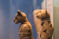 Cat mummies from egypt Royalty Free Stock Photo