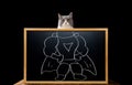 a cat with a muscle man sketch concept of strength Royalty Free Stock Photo