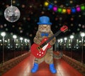 Cat plays electric guitar on stage 2