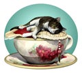 Cat n Cup Grey Tabby