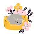Cat nap corner  grey british cat with flowers  vector illustration Royalty Free Stock Photo