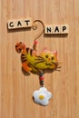 Cat Nap, words on wood Royalty Free Stock Photo