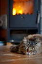 Cat near Fireplace Royalty Free Stock Photo