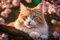 Cat nestled in a bed of cherry blossoms