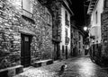 Cat at night looking at camera, in street of stone houses, mountain village. Medieval architecture. Black and White. Aragon