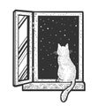 cat in night window sketch raster illustration