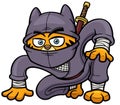 Cat Ninja Royalty Free Stock Photo