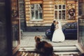 Cat observes just married on the street