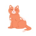 Cat without one paw. Cat with an amputated paw. Veterinarian, veterinary clinic, injured cat. Vector illustration in