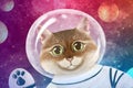 Art illustration. The Cat in the open space, in a helmet, waving his paw looking into the camera. Funny multicolor futuristic