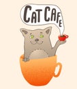 Cat in the orange coffee cup