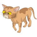 Cat adorable and funny cartoon vector illustration Royalty Free Stock Photo