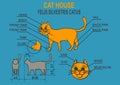 Cat ordinary home. Infographics.