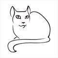 Cat outline, black on white background. Vector illustration. Royalty Free Stock Photo