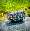 Cat painted rock