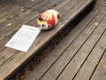 Cat painting on a round stone and rested on wooden ladder, Onomichi, Hiroshima, Japan