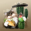 Cat, parrot and tacos in paw Royalty Free Stock Photo
