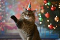 cat with a party hat doing the chacha with a festive background