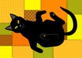 Cat on patchwork background