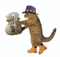 Cat patriot with a sack of money Royalty Free Stock Photo