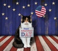 Cat patriotic with a balloon on a stage Royalty Free Stock Photo