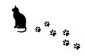 Cat and paw prints