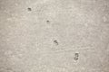 Cat paw prints on concrete road outdoors Royalty Free Stock Photo