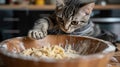 A cat pawing at a bowl of food in the kitchen, AI Royalty Free Stock Photo