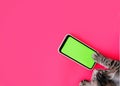 Cat paws on chromakey screen of a mobile phone. modern technologies. social networks in the modern world. bright pink background.