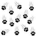 Cat paws with claws and scratches on white background Royalty Free Stock Photo