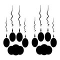 Cat paws with claws and scratches on white background. Royalty Free Stock Photo
