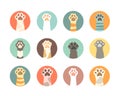 Cat paws collection. domestic animals hands footprints of kitty pets symbols. Vector flat body parts of cats