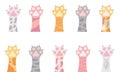 Cat paws, kitten legs, cute cat foot. Vector Illustration for printing, backgrounds, covers, packaging, greeting cards, posters,