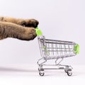 Cat paws pushing empty shopping cart on white background, shopping concept, products for cats, empty space in cart, side view, Royalty Free Stock Photo