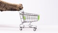 Cat paws pushing empty shopping cart on white background, shopping concept, products for cats, empty space in cart, side view, Royalty Free Stock Photo