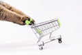 Cat paws pushing empty shopping cart on white background, shopping concept, products for cats, empty space in cart, side view, Royalty Free Stock Photo