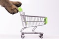 Cat paws pushing empty shopping cart on white background, shopping concept, products for cats, empty space in cart, side view, Royalty Free Stock Photo