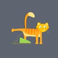 Cat Peeing Image