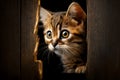 Cat peeking out of the hole in the box. Brown background Royalty Free Stock Photo