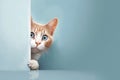 Cat peeks behind a corner. Blue background with copy space