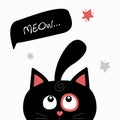 The cat peeps and says `Meow`