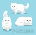 Cat Persian Cartoon Vector Illustration