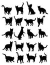 Cat Pet Animal Silhouettes Royalty Free Stock Photo