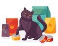 Cat in pet store with packages and canned food for pets. British Scottish cat with its feed. Vector illustration Royalty Free Stock Photo